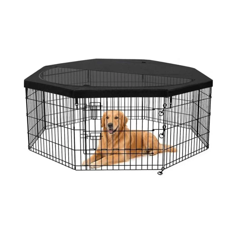 Small Outdoor Dog Kennel with Roof
