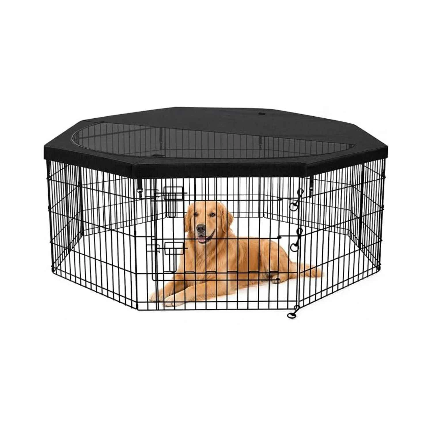 Small Outdoor Dog Kennel with Roof