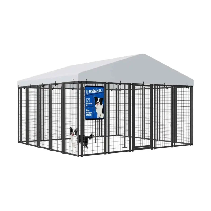 10 x 10 Outdoor Dog Kennel