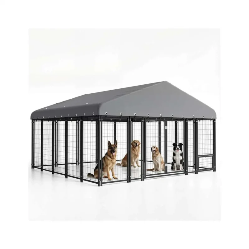 4 Dog Kennel Outdoor