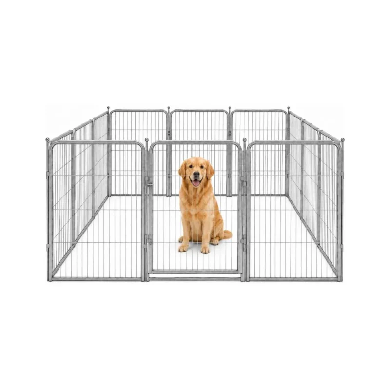 Large Outdoor Dog Kennel and Run