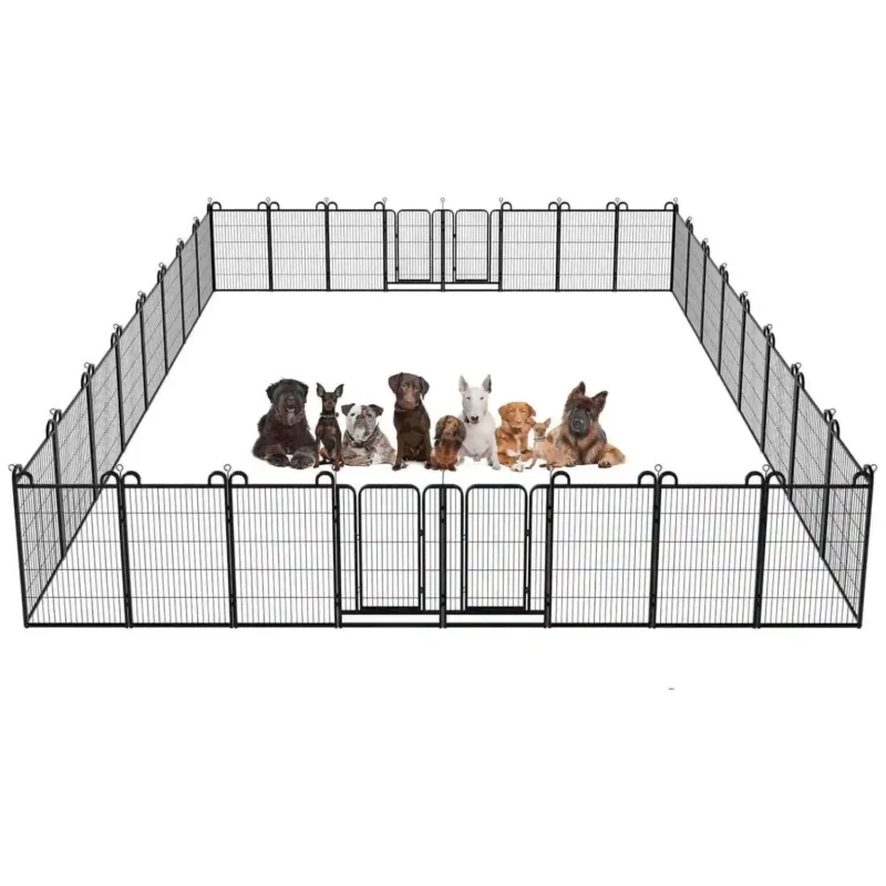 Multi Dog Kennel Outdoor