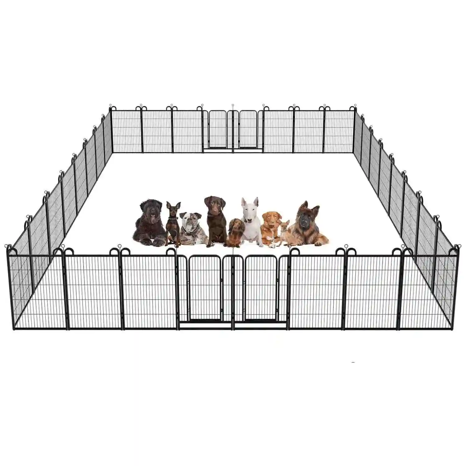 Multi Dog Kennel Outdoor