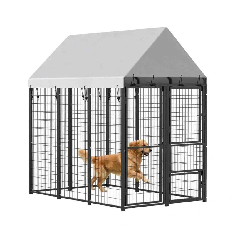 Outdoor Dog Kennel with Top