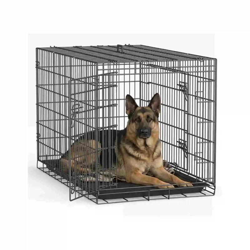 Wire Dog Kennel Outdoor