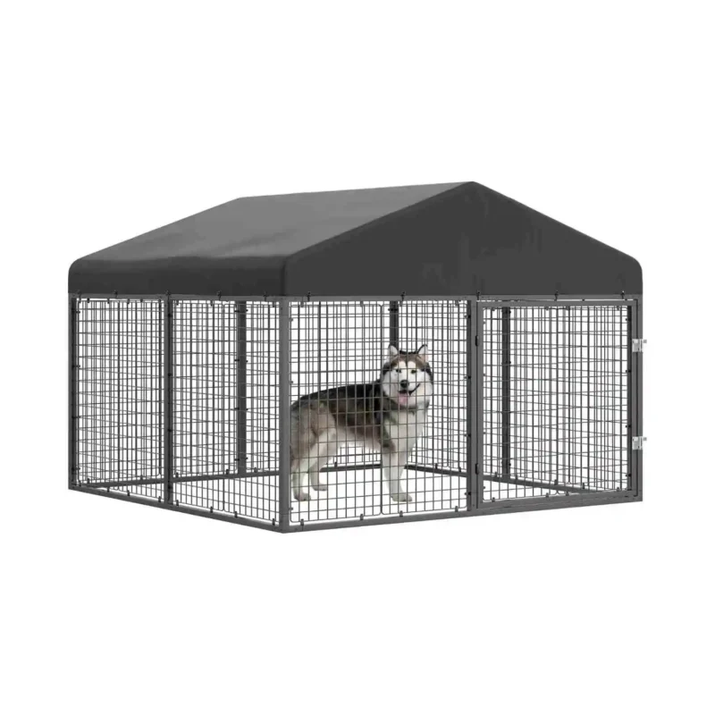 Enclosed Dog Kennel Outdoor