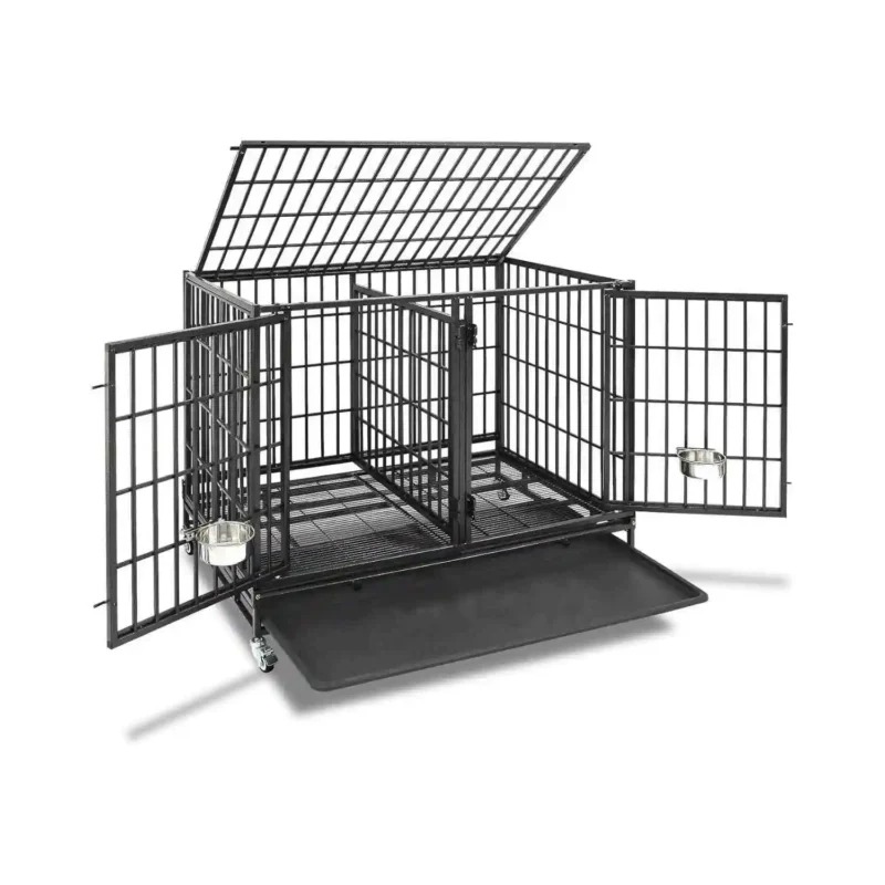 Outdoor Dog Kennel with Divider
